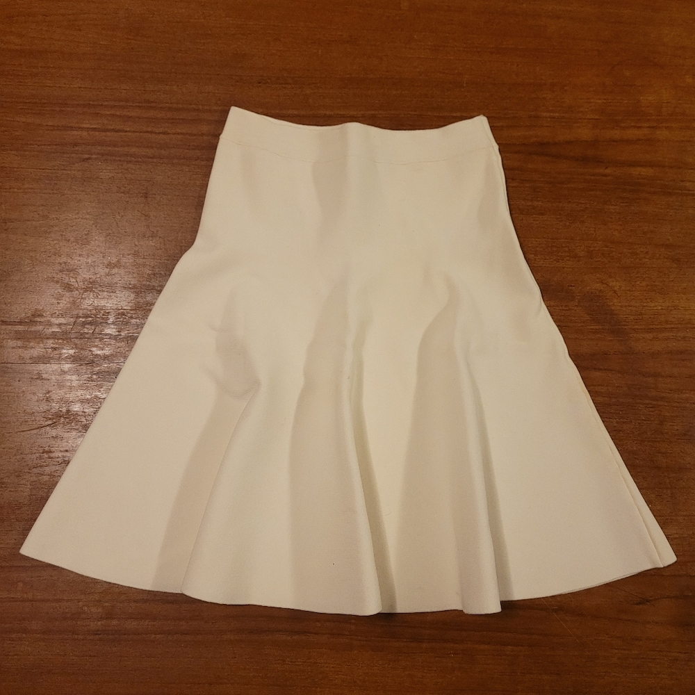 Bcbgmaxazria igrid skirt